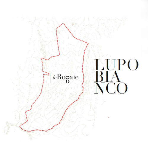 lupo bianco